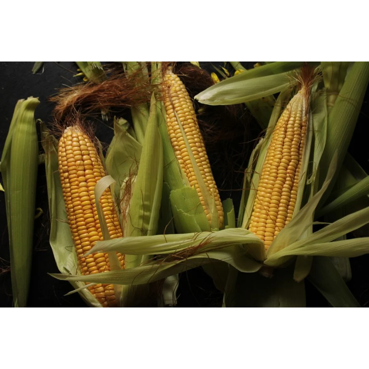 50kg Maize Meal Starter Pack